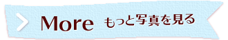 もっと写真を見る