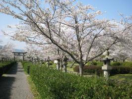 旭ヶ岡公園の写真