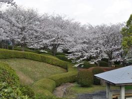 臥竜ヶ岡公園