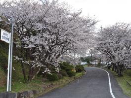 七浦小学校