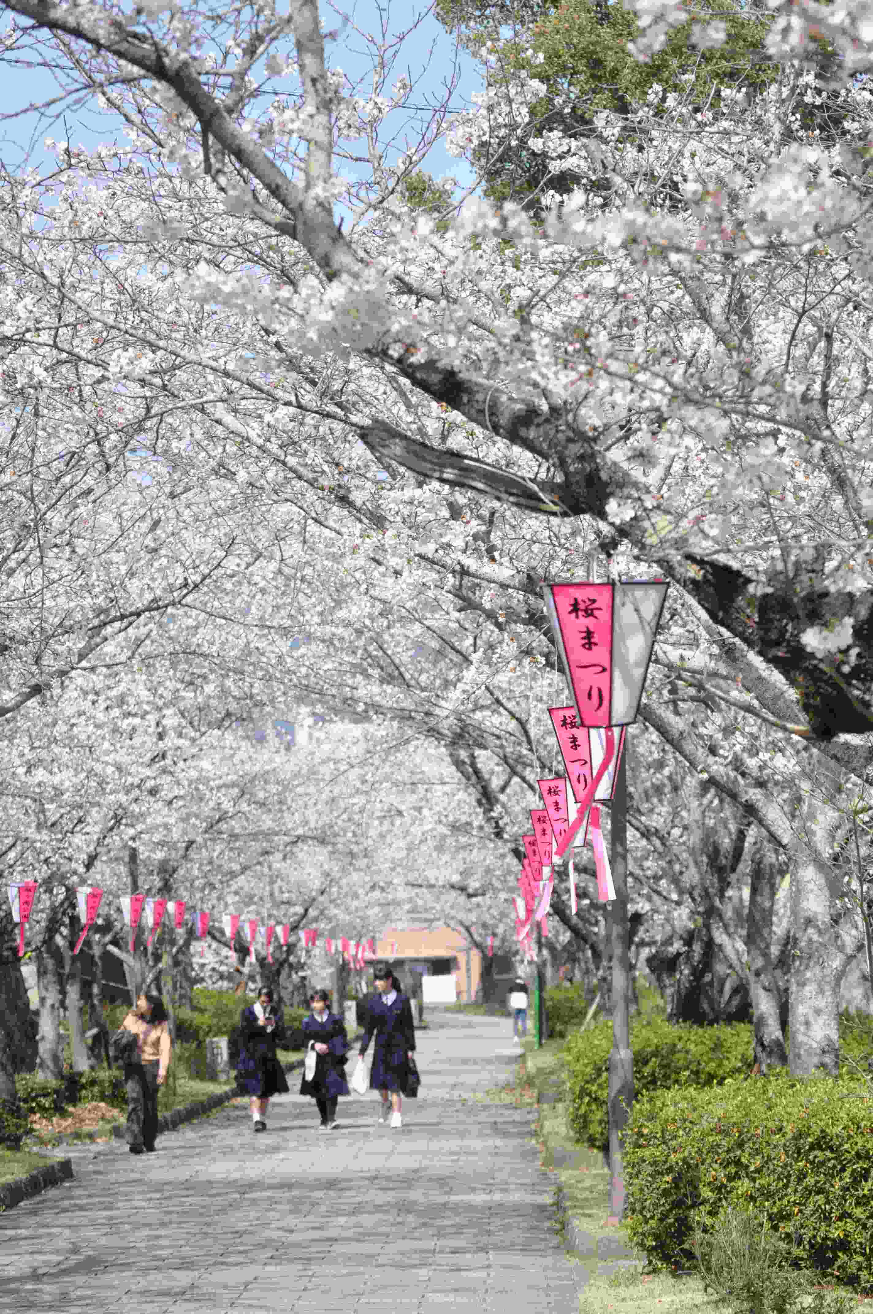 旭ヶ岡公園の写真