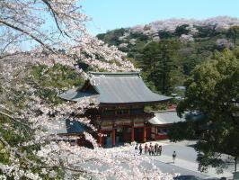 祐徳稲荷神社の写真