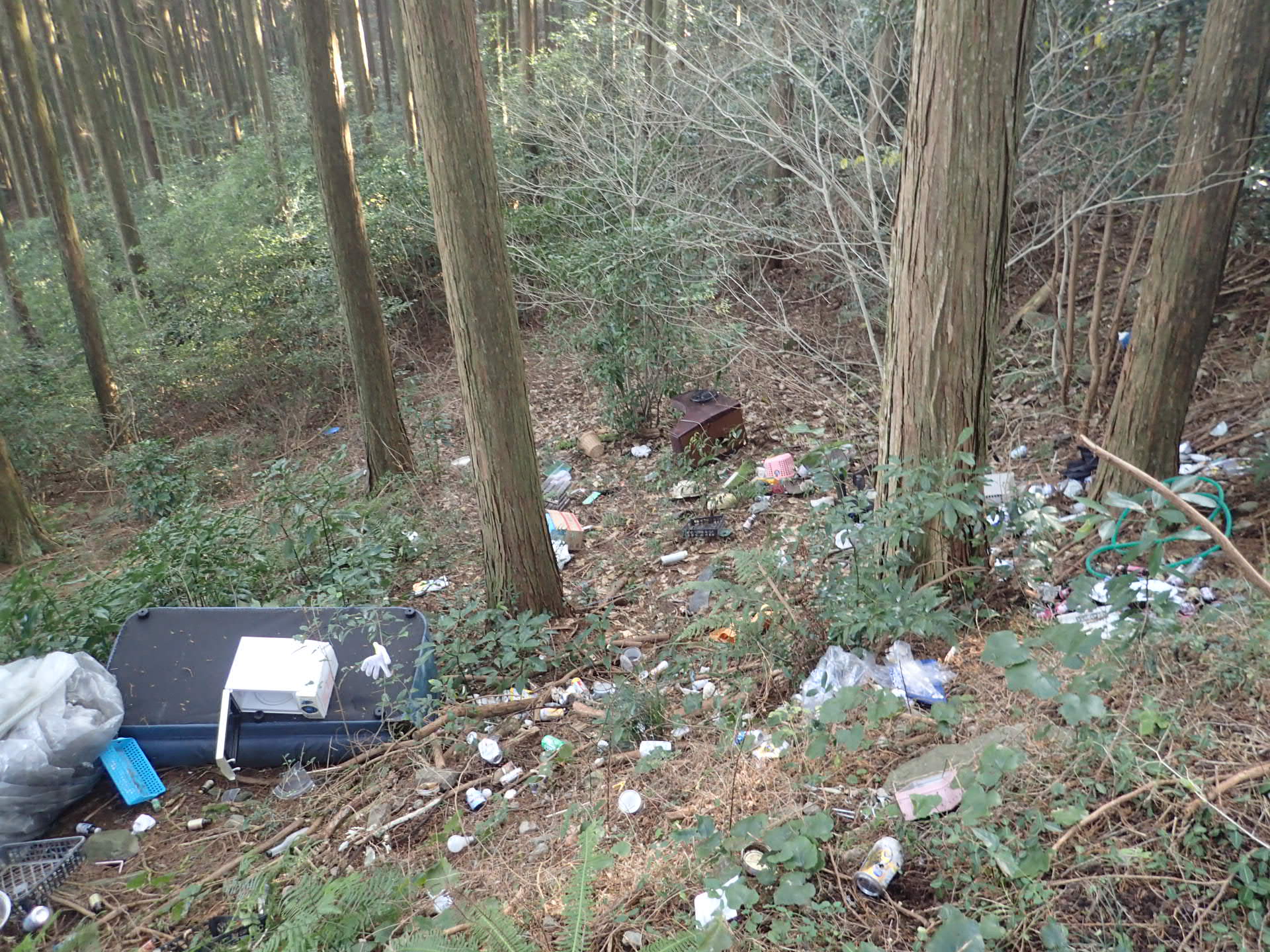不法投棄とは 鹿島市 佐賀県