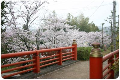 旭ヶ岡公園