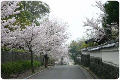 旭ヶ岡公園