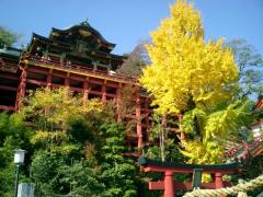 祐徳稲荷神社（ゆうとくいなりじんじゃ）