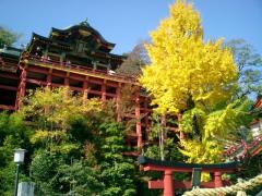 ศาลเจ้ายูโตกุอินาริ (Yutoku Inari Shrine)