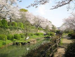 旭ヶ岡公園の写真
