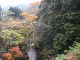平谷紅葉