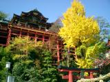 祐徳稲荷神社1