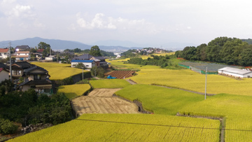 受賞写真