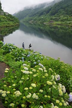 受賞写真