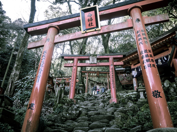 受賞写真