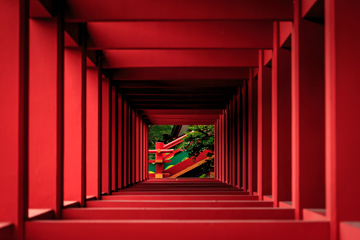 受賞写真