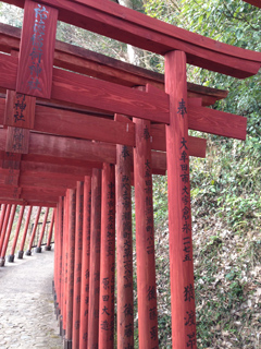 受賞写真