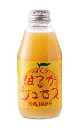 商品外観
