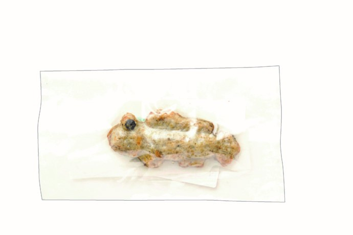 揚げむつごろう蒲鉾