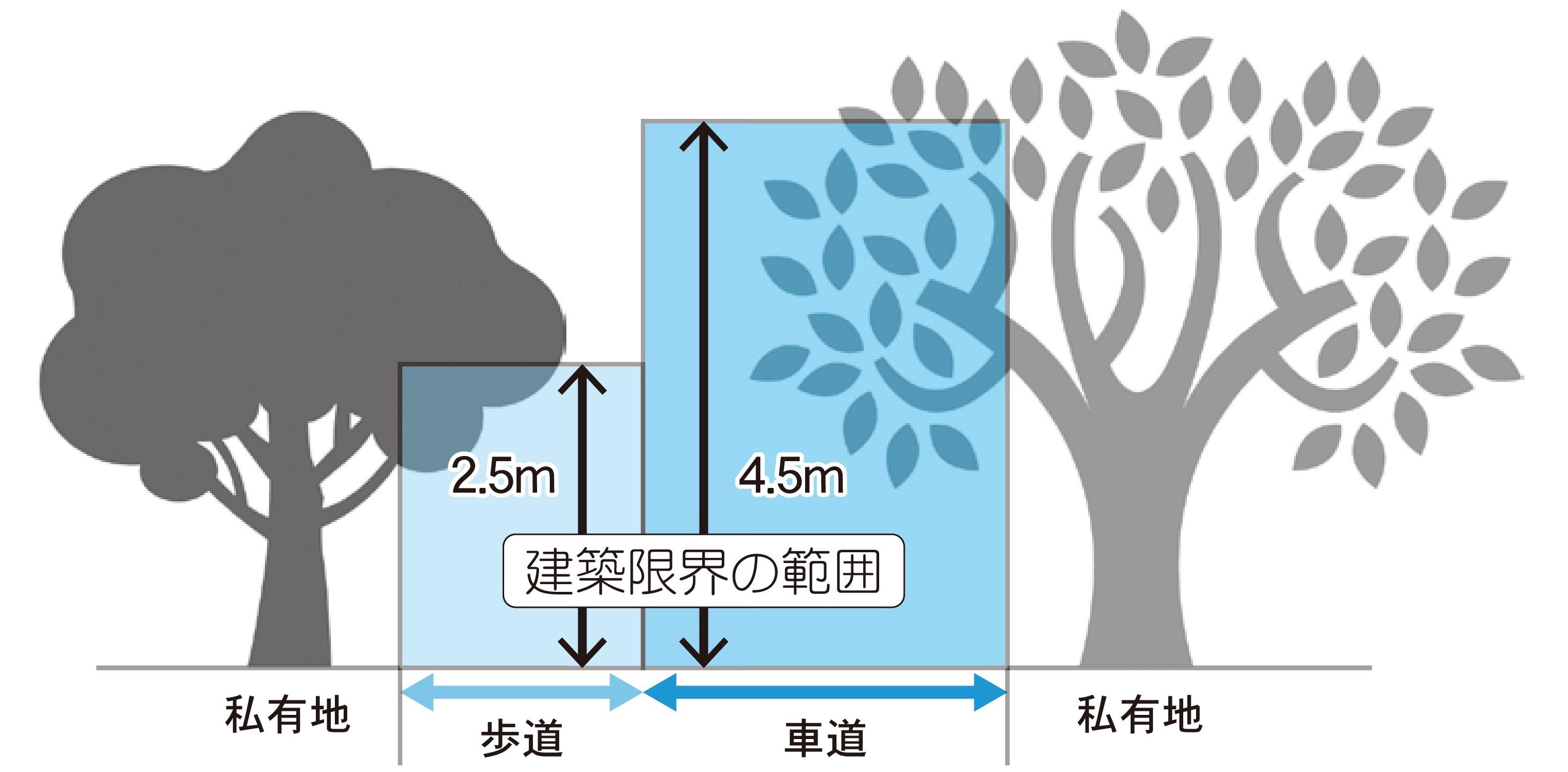 樹木