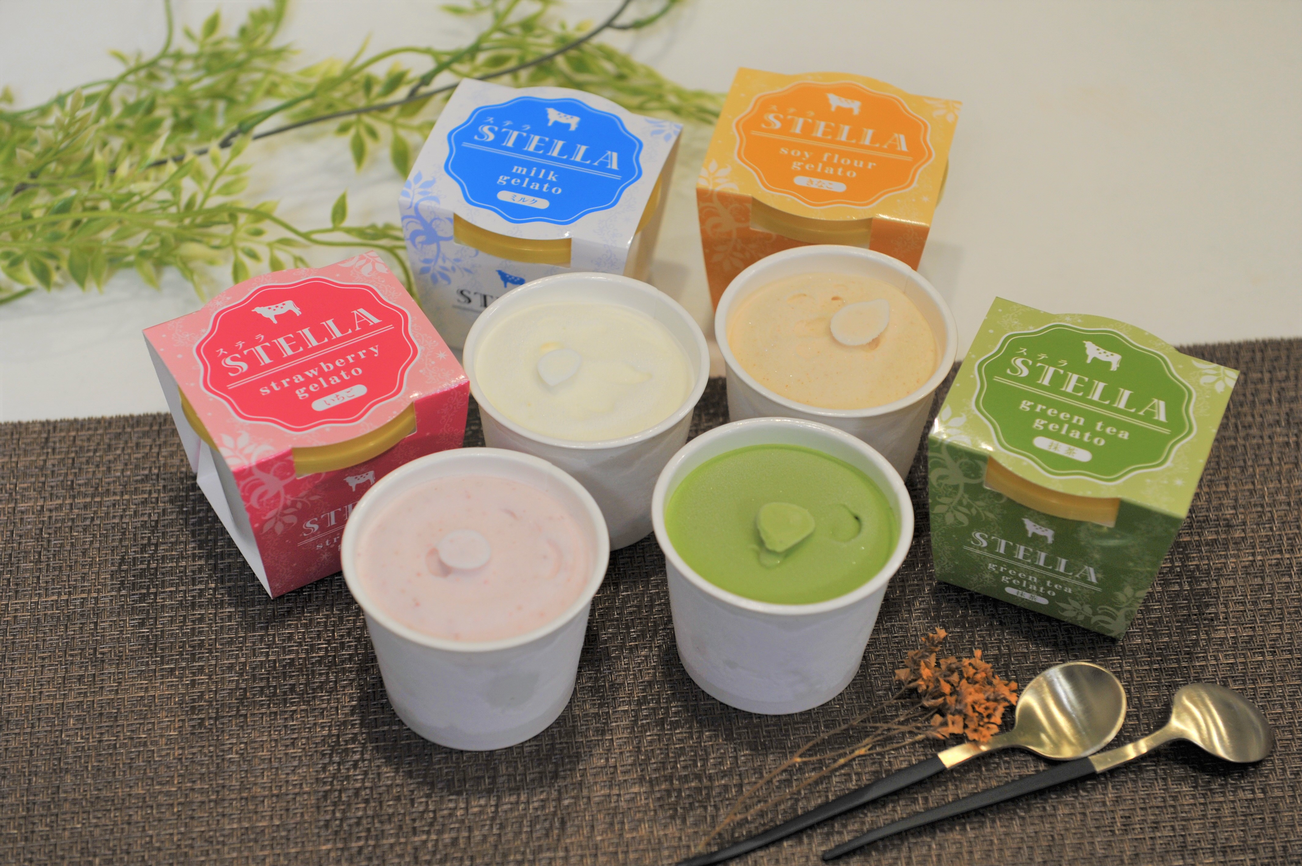 STELLAジェラート | 鹿島市［佐賀県］